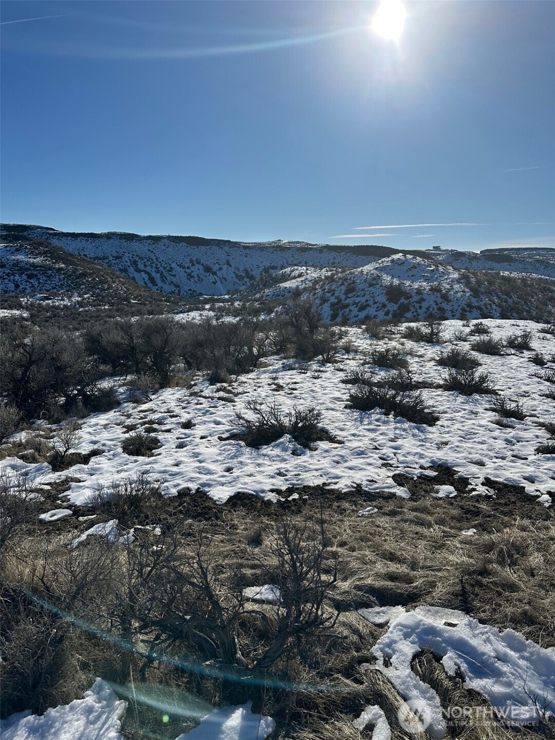 2925 Alta Place Property Photo 4