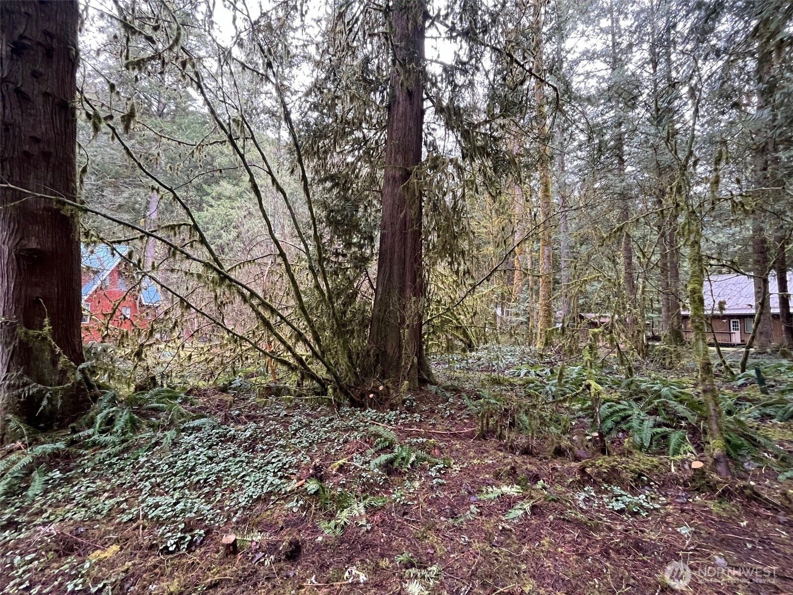 7138 Rainier Way Property Photo
