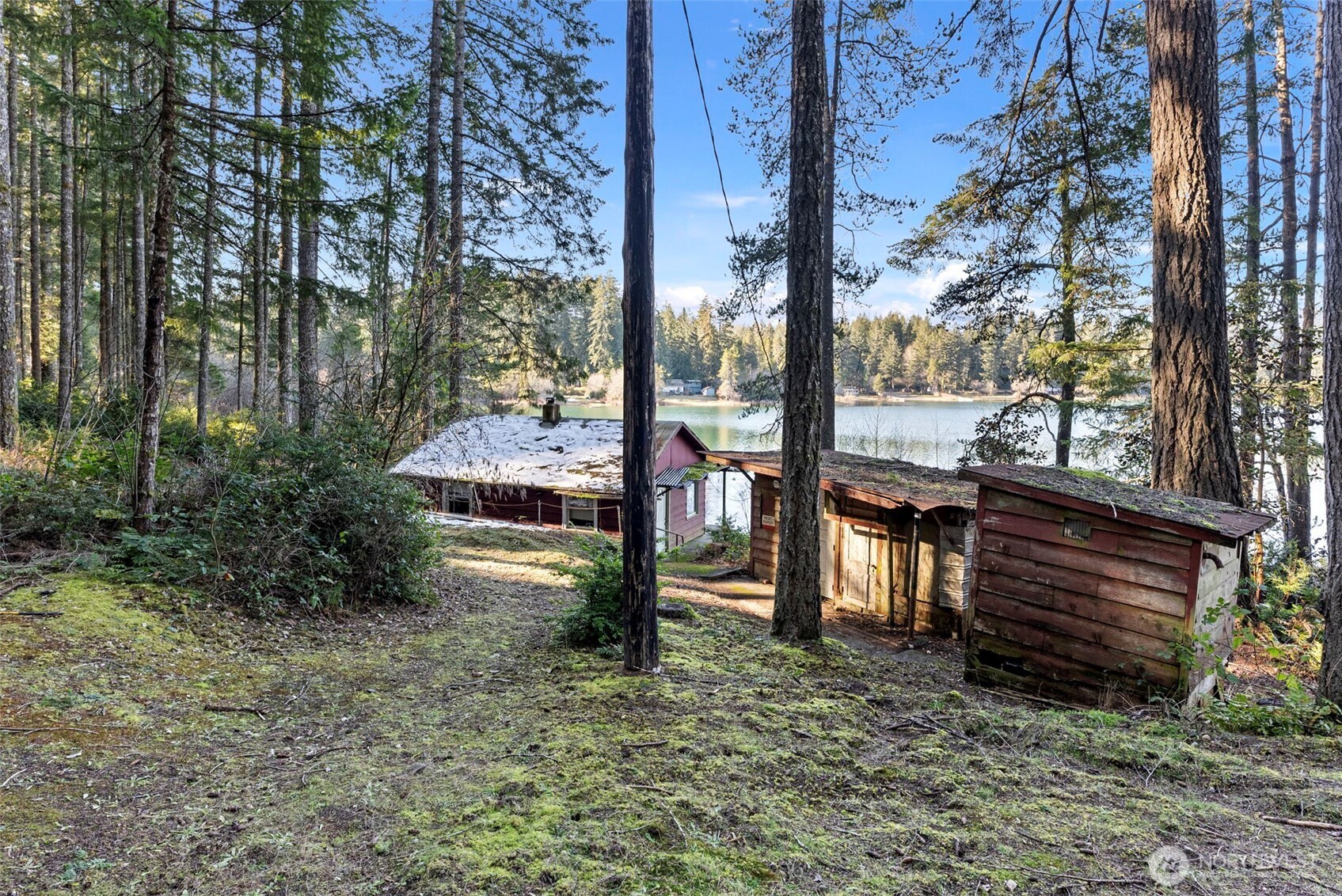 15710 166th Avenue Property Photo 5