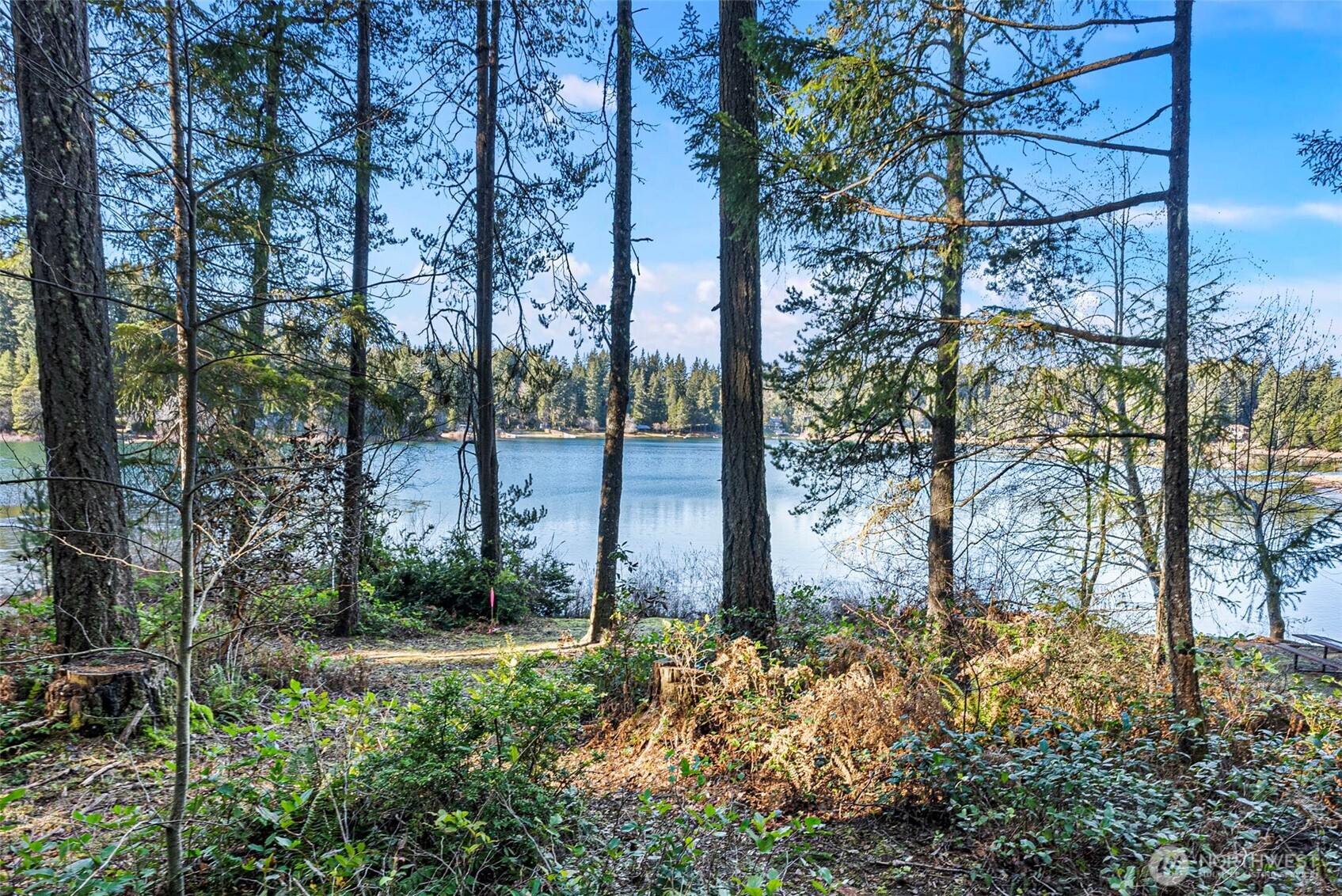 15710 166th Avenue Property Photo 12