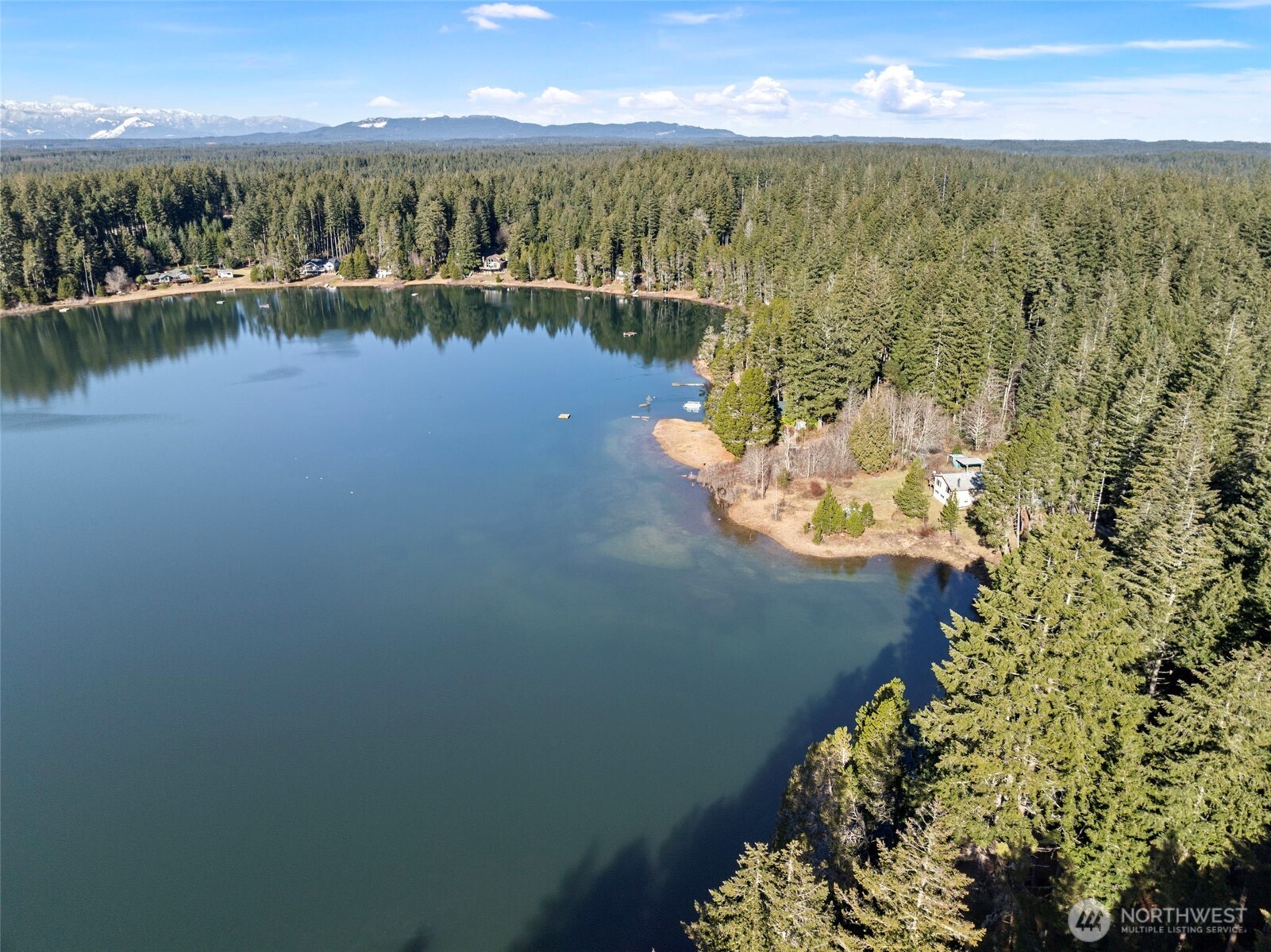 15710 166th Avenue Property Photo 15