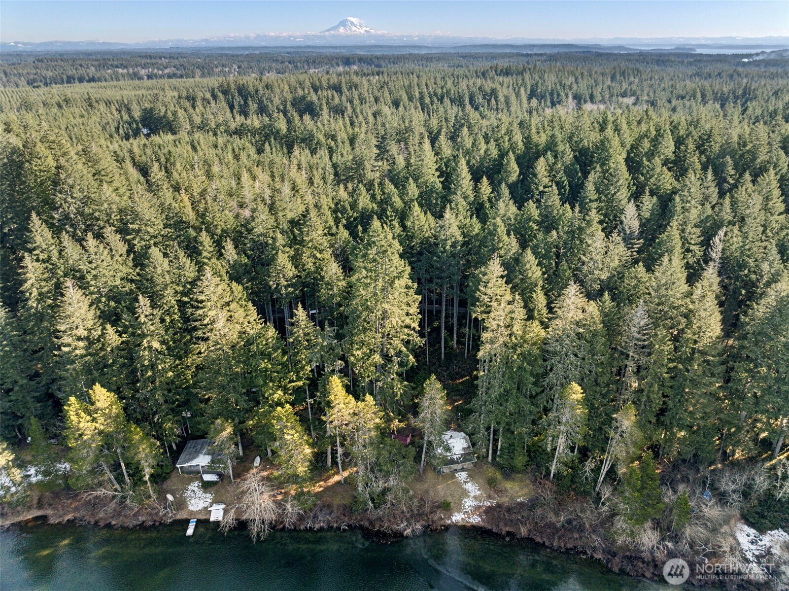 15710 166th Avenue Property Photo 18