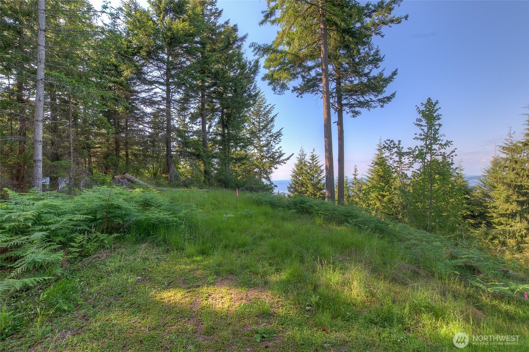 41 Raven Lane Property Photo 2