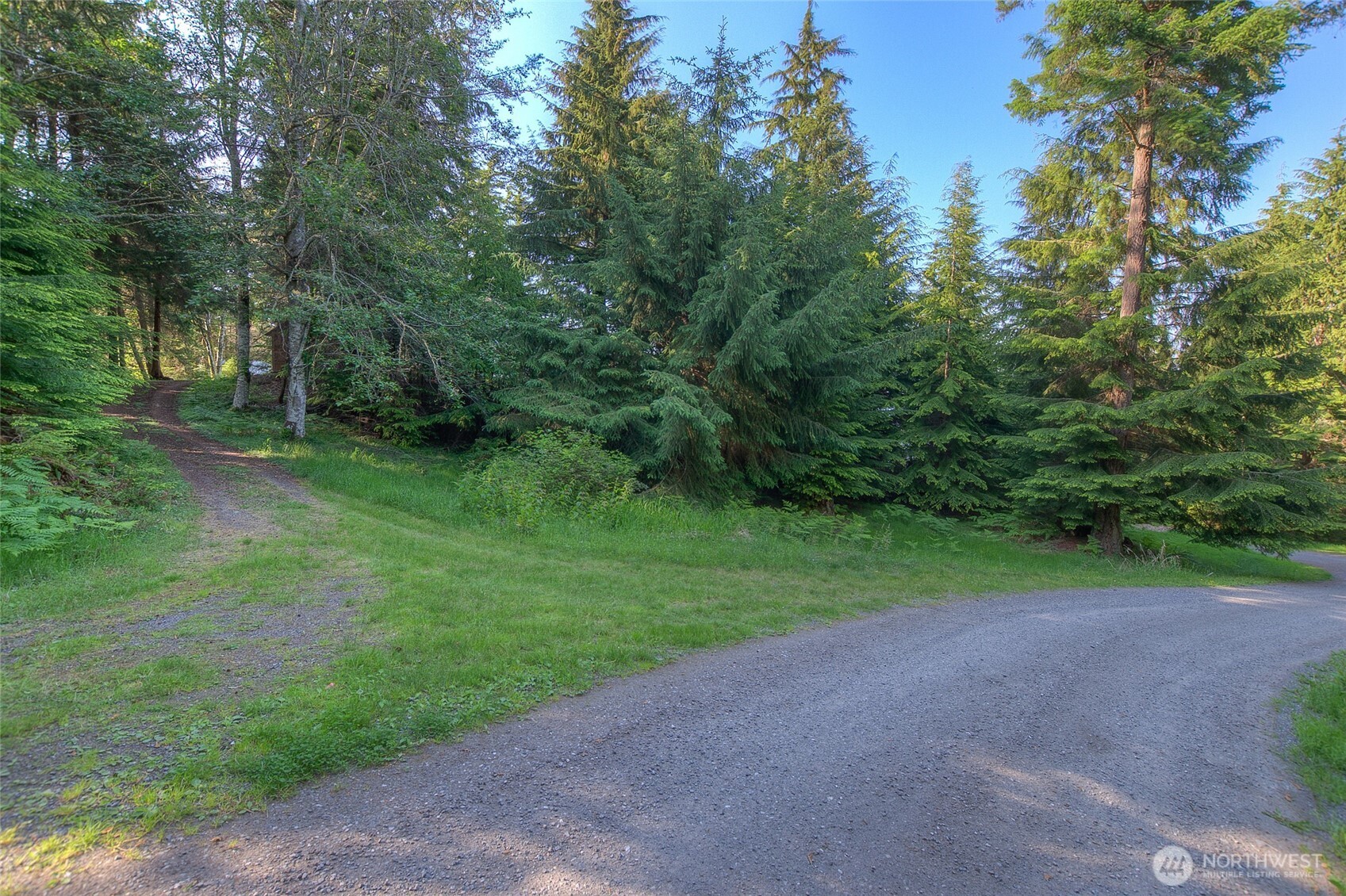 41 Raven Lane Property Photo 9