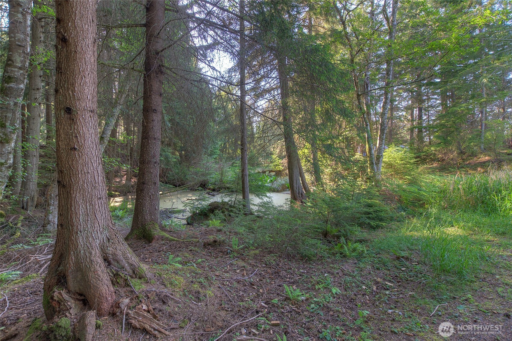 41 Raven Lane Property Photo 37