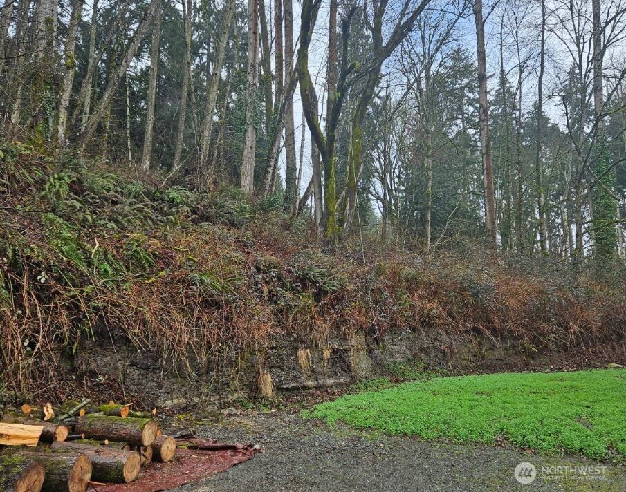 37301 2nd Avenue Property Photo 1