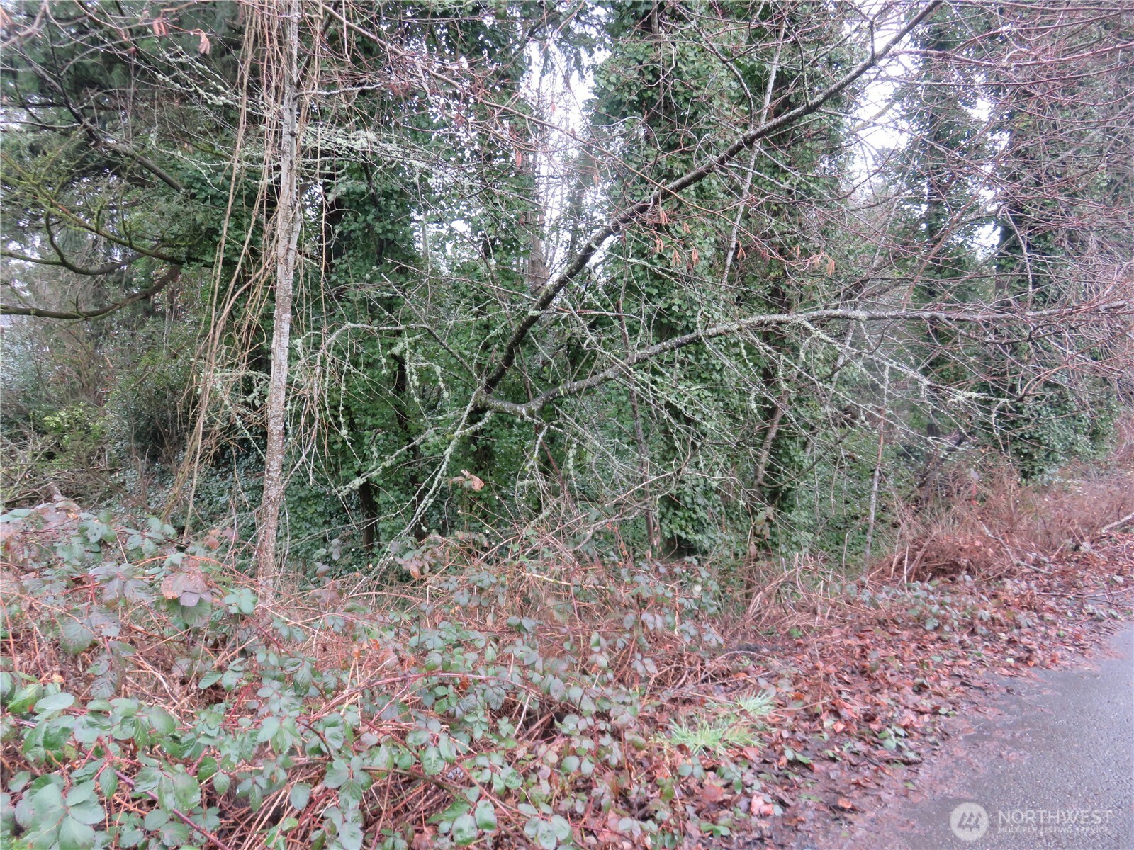 1700 Lot 1&2 12 Th Avenue Property Photo 3