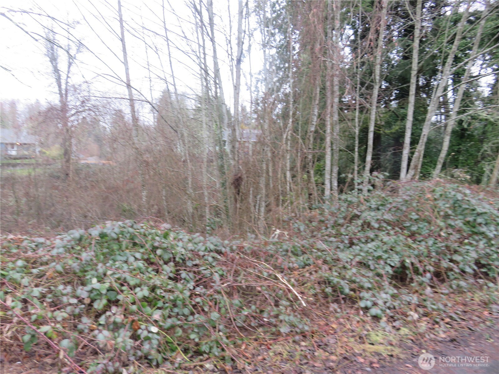 1700 Lot 1&2 12 Th Avenue Property Photo 4