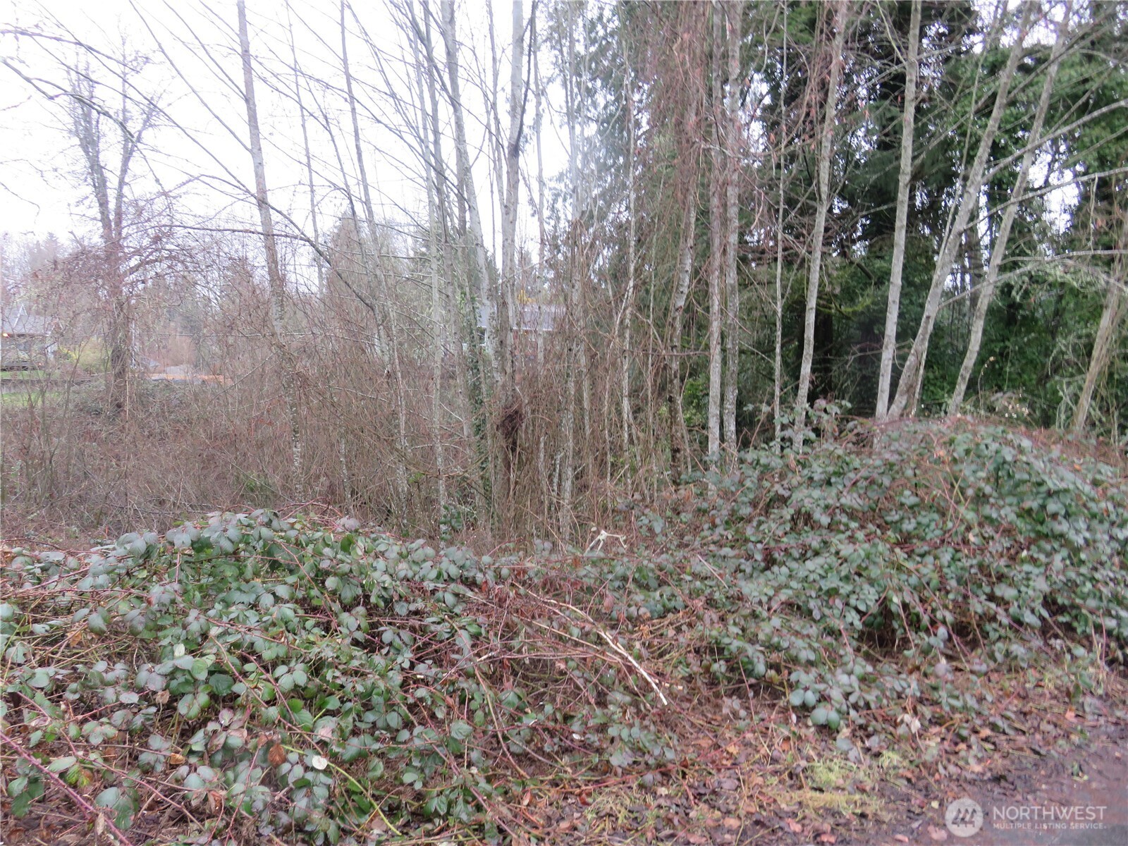 1700 Lot 1&2 12 Th Avenue Property Photo 5