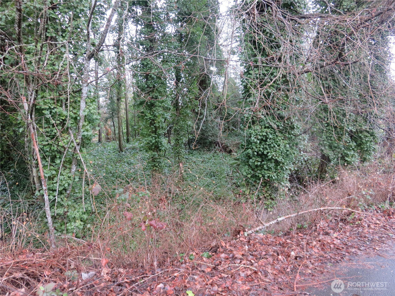 1700 Lot 1&2 12 Th Avenue Property Photo 6