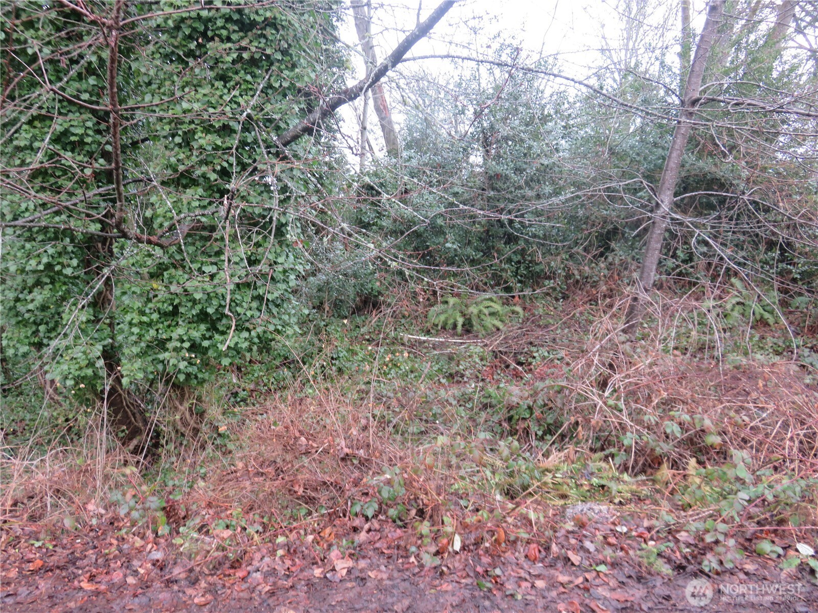 1700 Lot 1&2 12 Th Avenue Property Photo 7