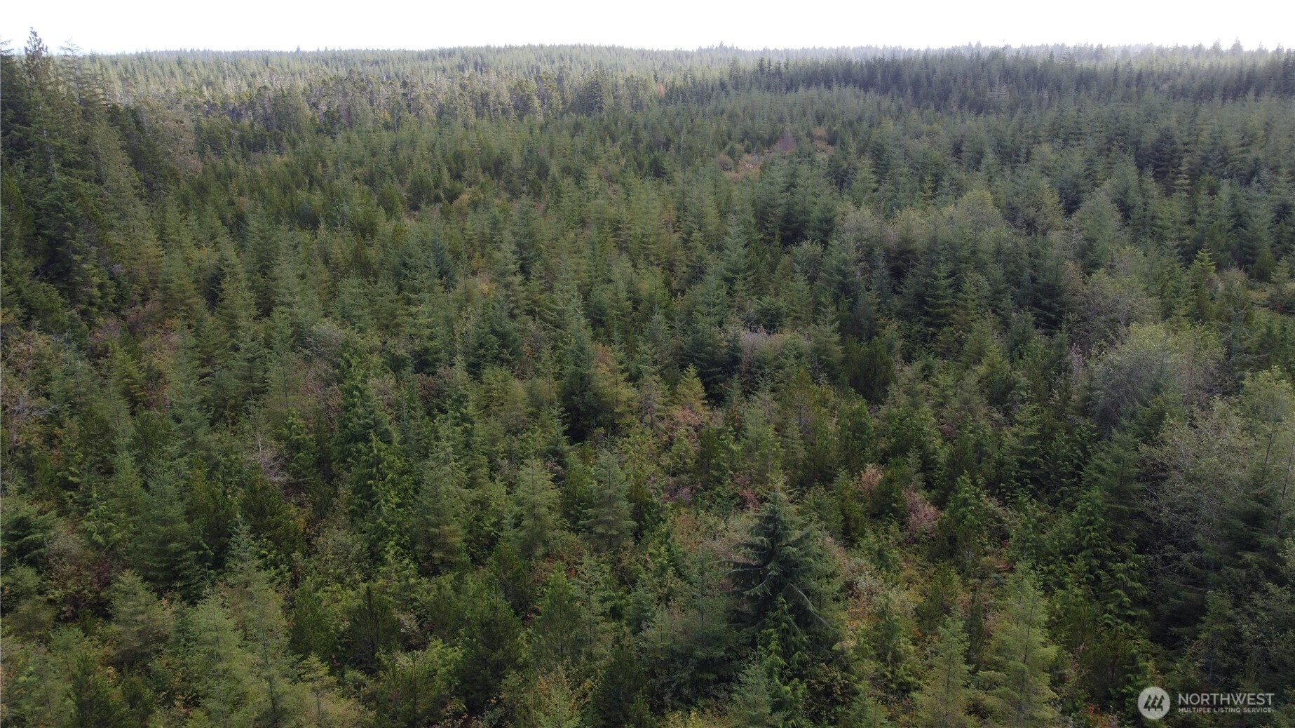 2801 Bia S-2 Road Property Photo 4