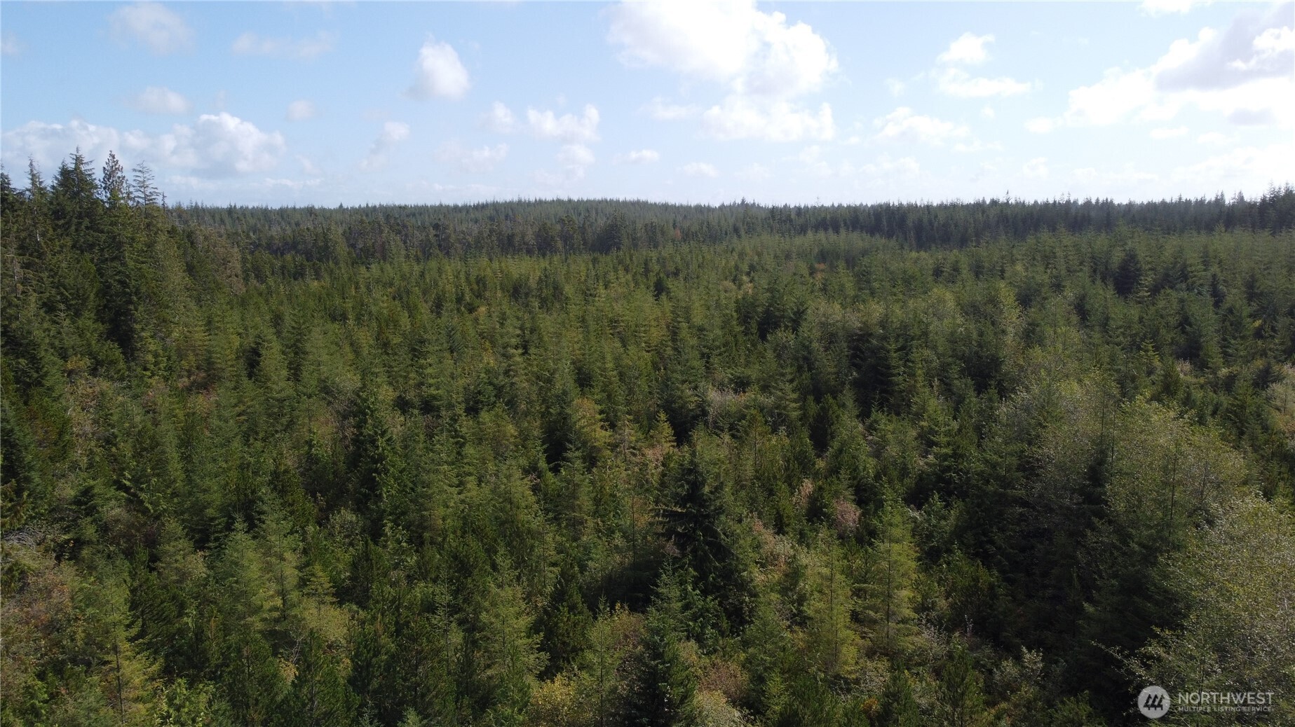 2801 Bia S-2 Road Property Photo 8