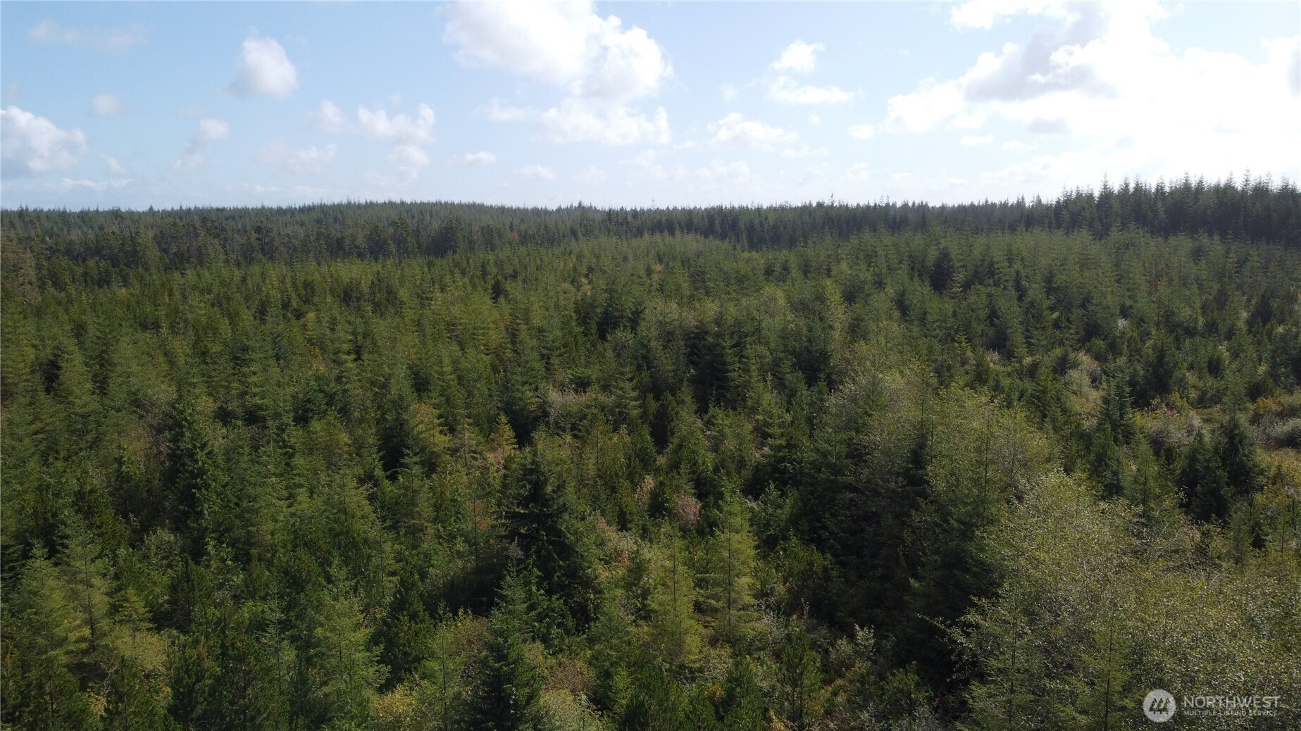 2801 Bia S-2 Road Property Photo 10