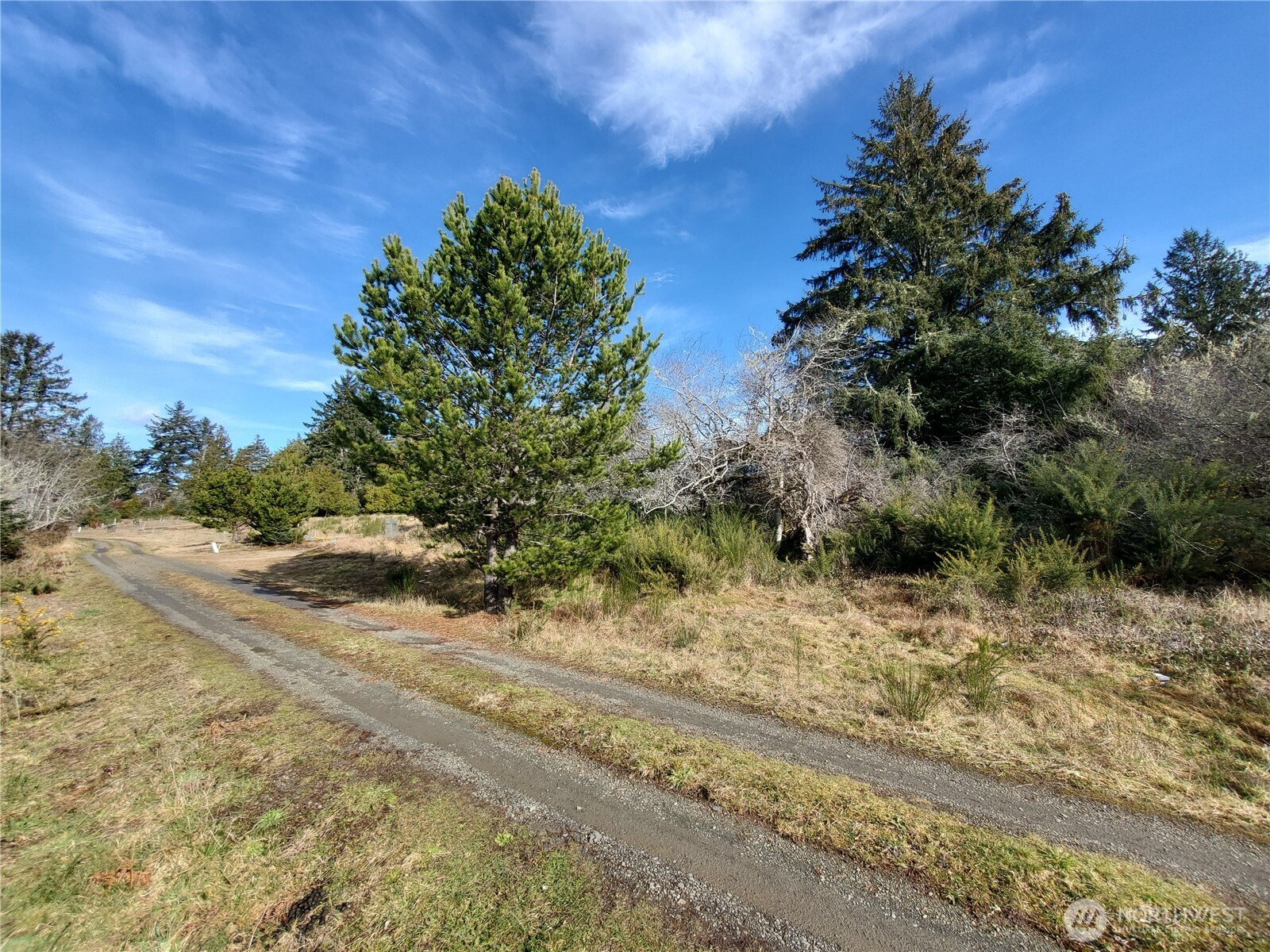 0 N. Oysterville Rd Cmtry Rd Property Photo