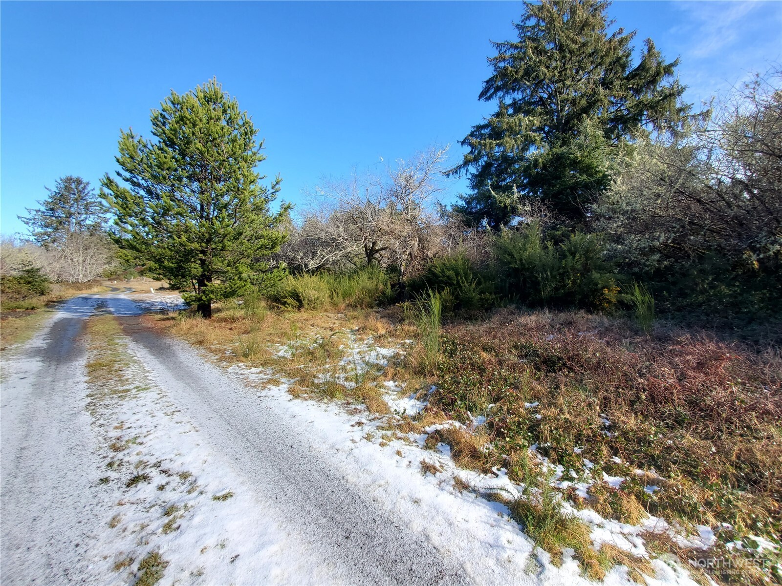 0 N. Oysterville Rd Cmtry Rd Property Photo 2