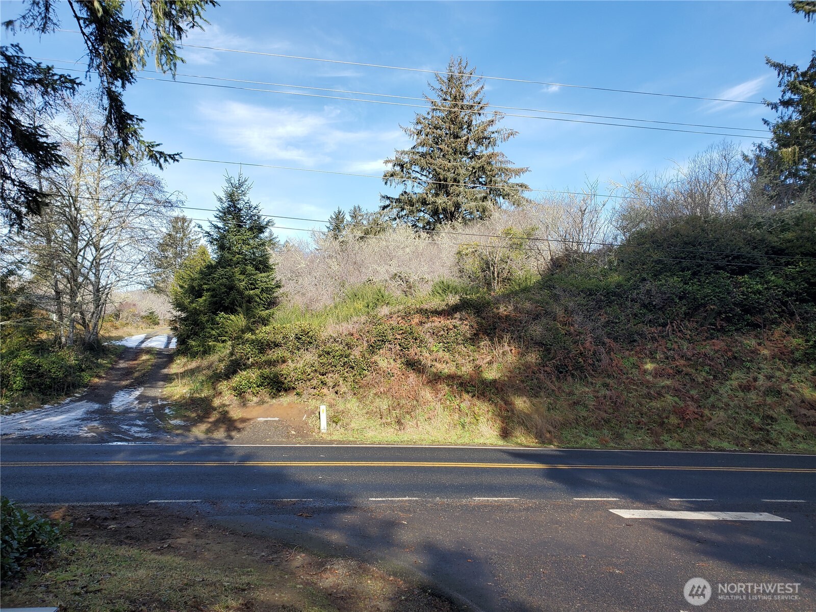 0 N. Oysterville Rd Cmtry Rd Property Photo 4