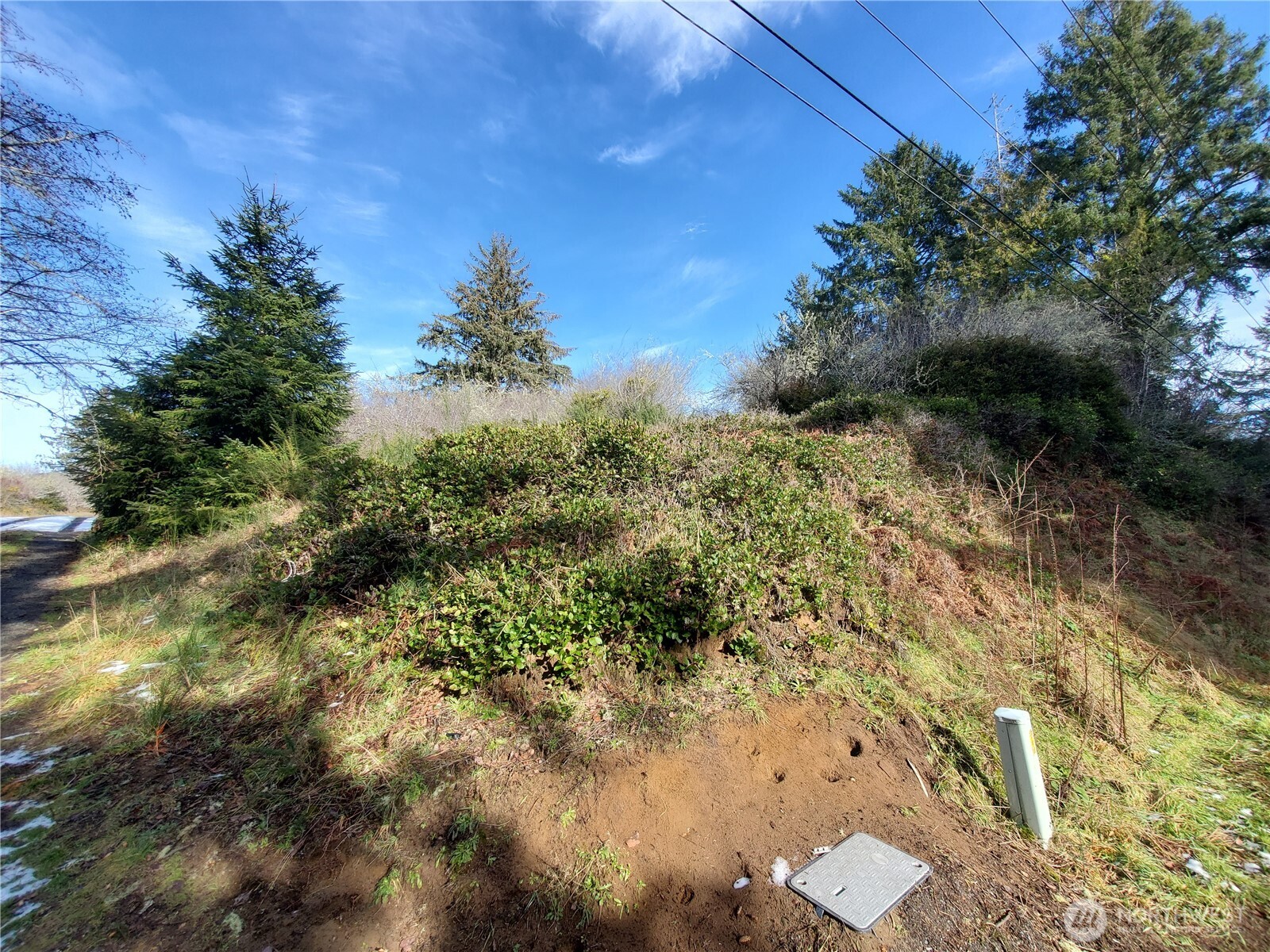 0 N. Oysterville Rd Cmtry Rd Property Photo 5