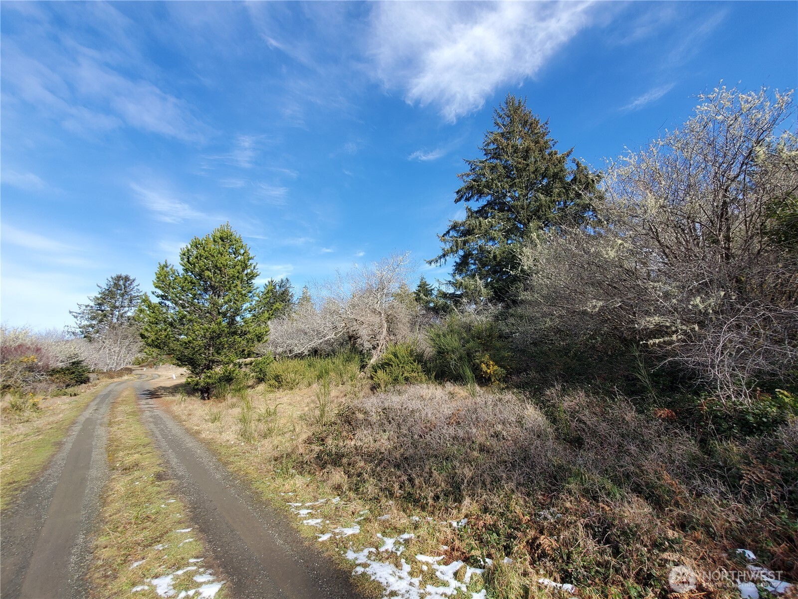 0 N. Oysterville Rd Cmtry Rd Property Photo 6