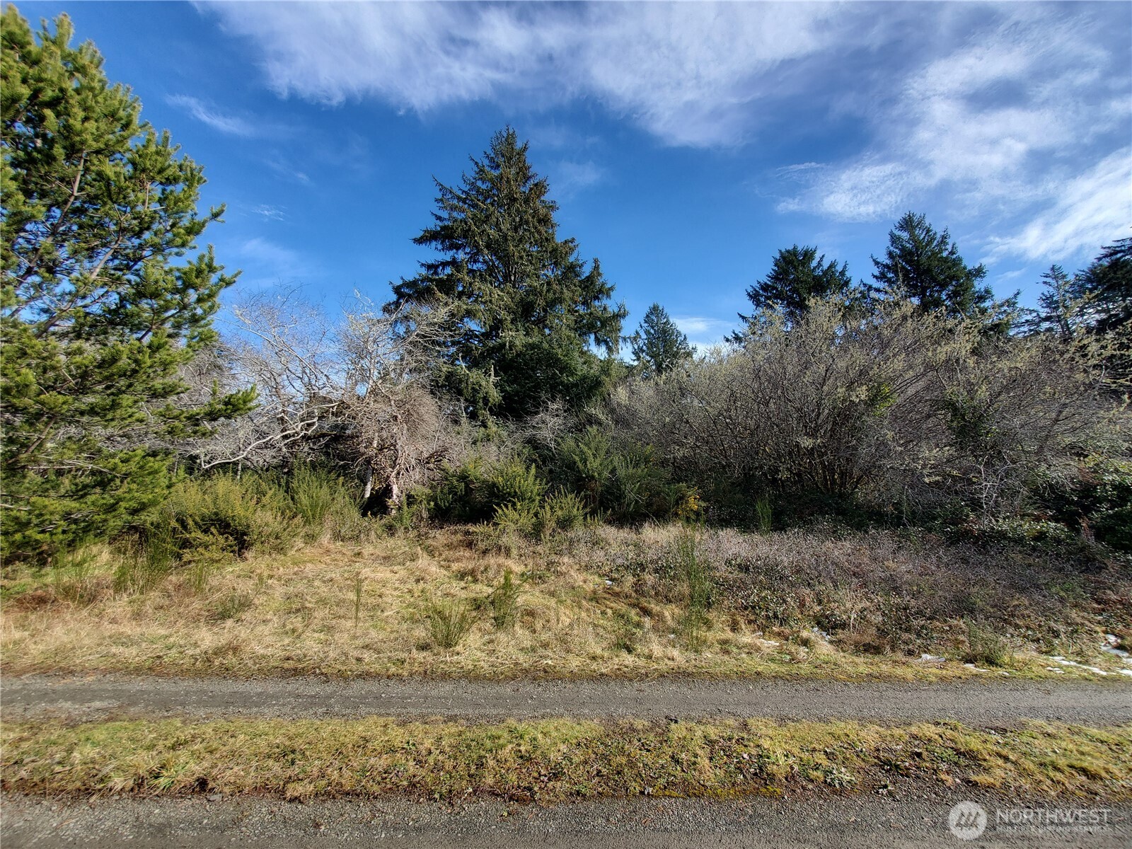 0 N. Oysterville Rd Cmtry Rd Property Photo 8