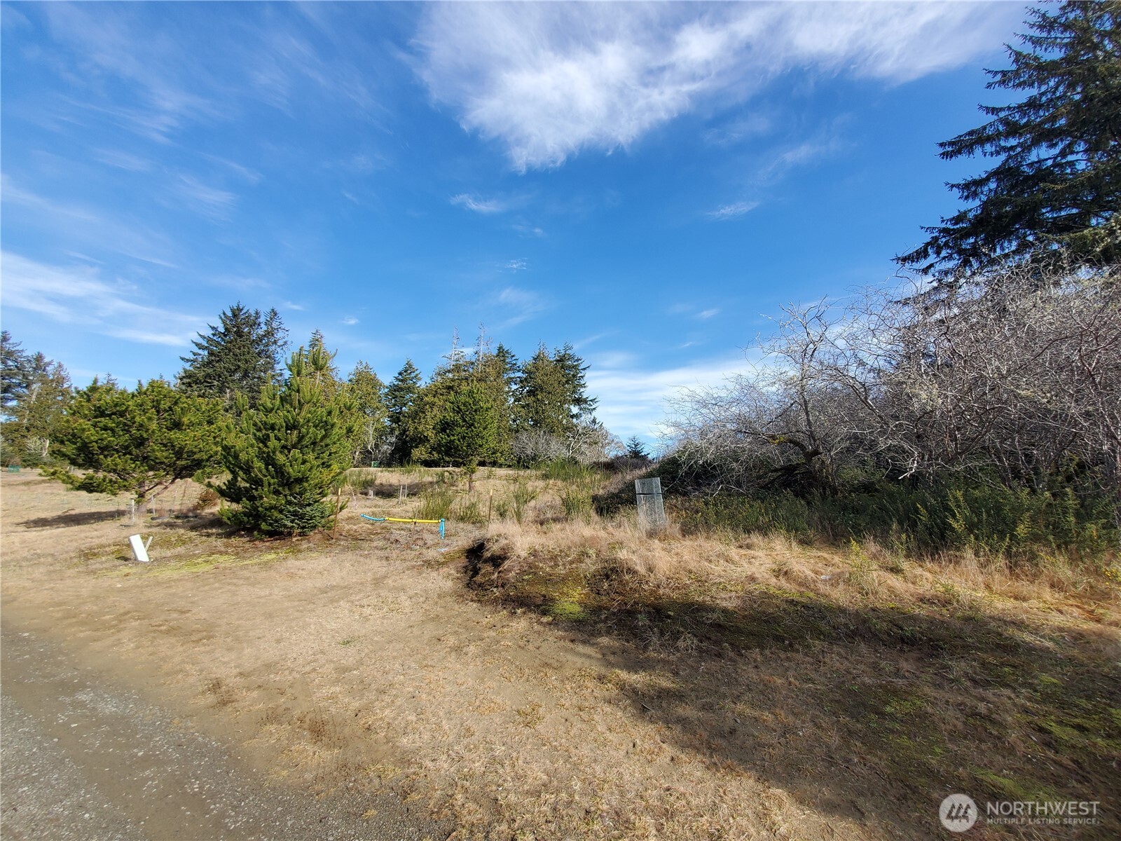 0 N. Oysterville Rd Cmtry Rd Property Photo 9