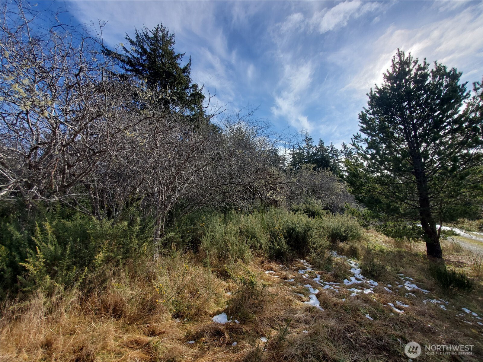 0 N. Oysterville Rd Cmtry Rd Property Photo 10