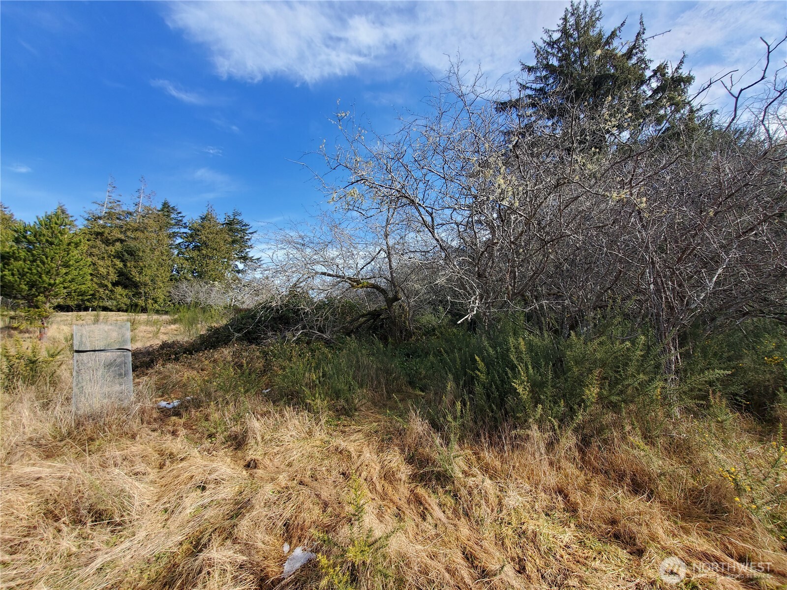 0 N. Oysterville Rd Cmtry Rd Property Photo 11