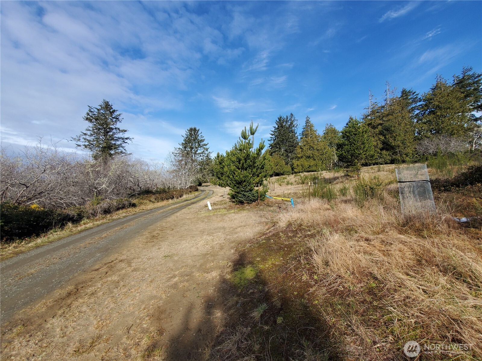 0 N. Oysterville Rd Cmtry Rd Property Photo 12