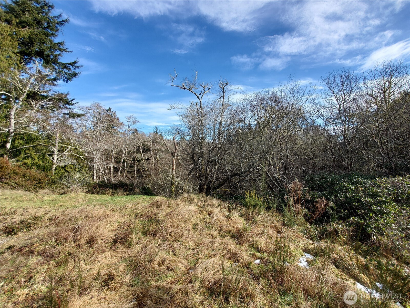 0 N. Oysterville Rd Cmtry Rd Property Photo 13