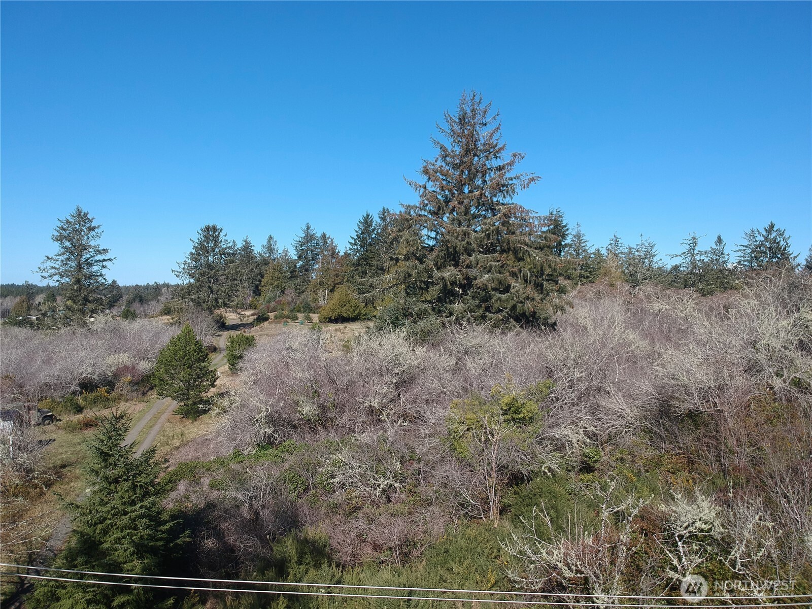 0 N. Oysterville Rd Cmtry Rd Property Photo 15