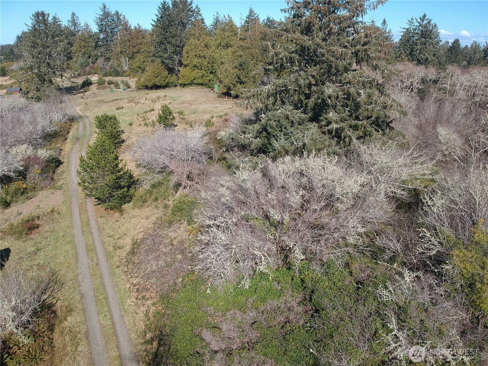 0 N. Oysterville Rd Cmtry Rd Property Photo 16