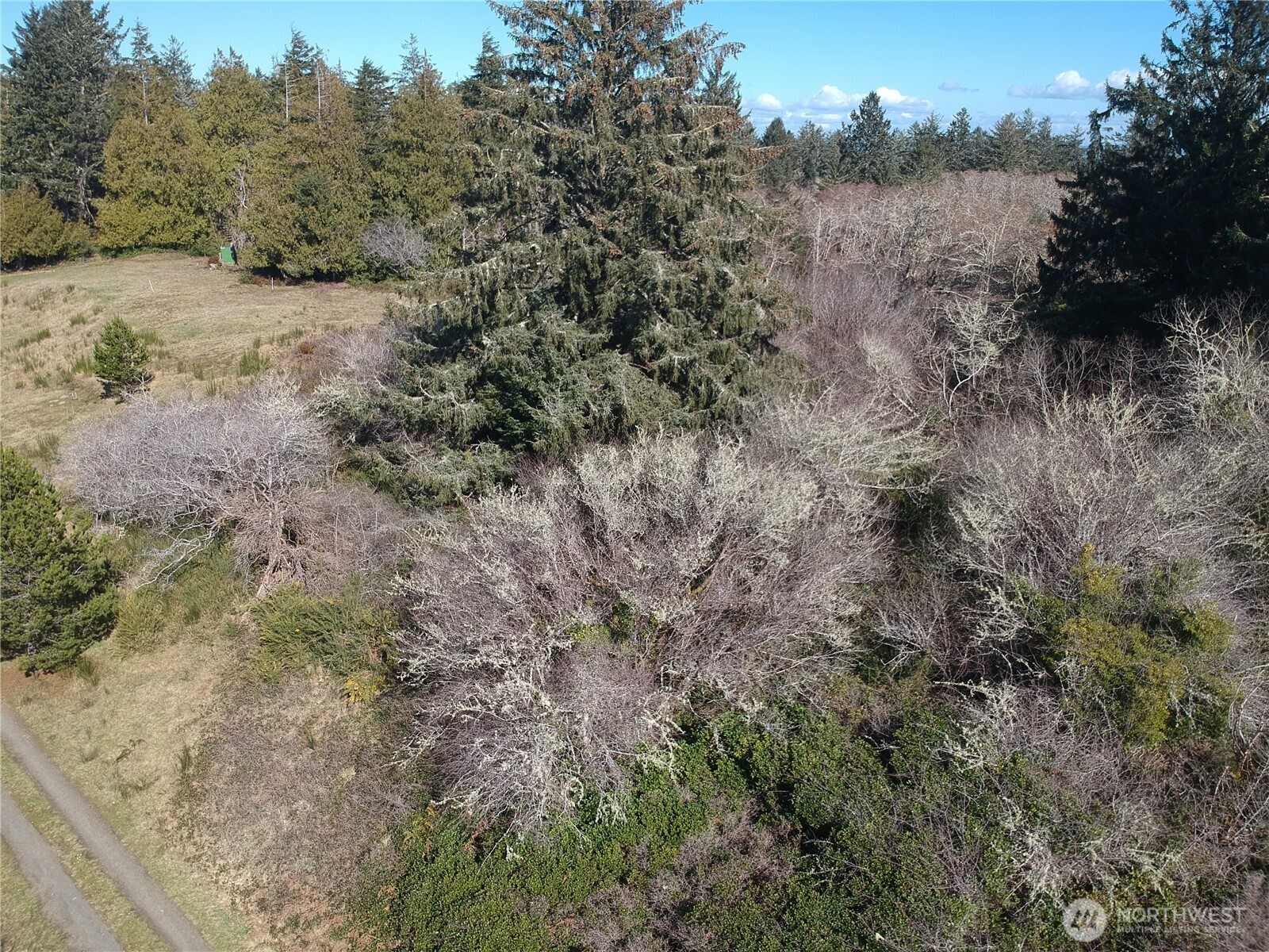 0 N. Oysterville Rd Cmtry Rd Property Photo 17