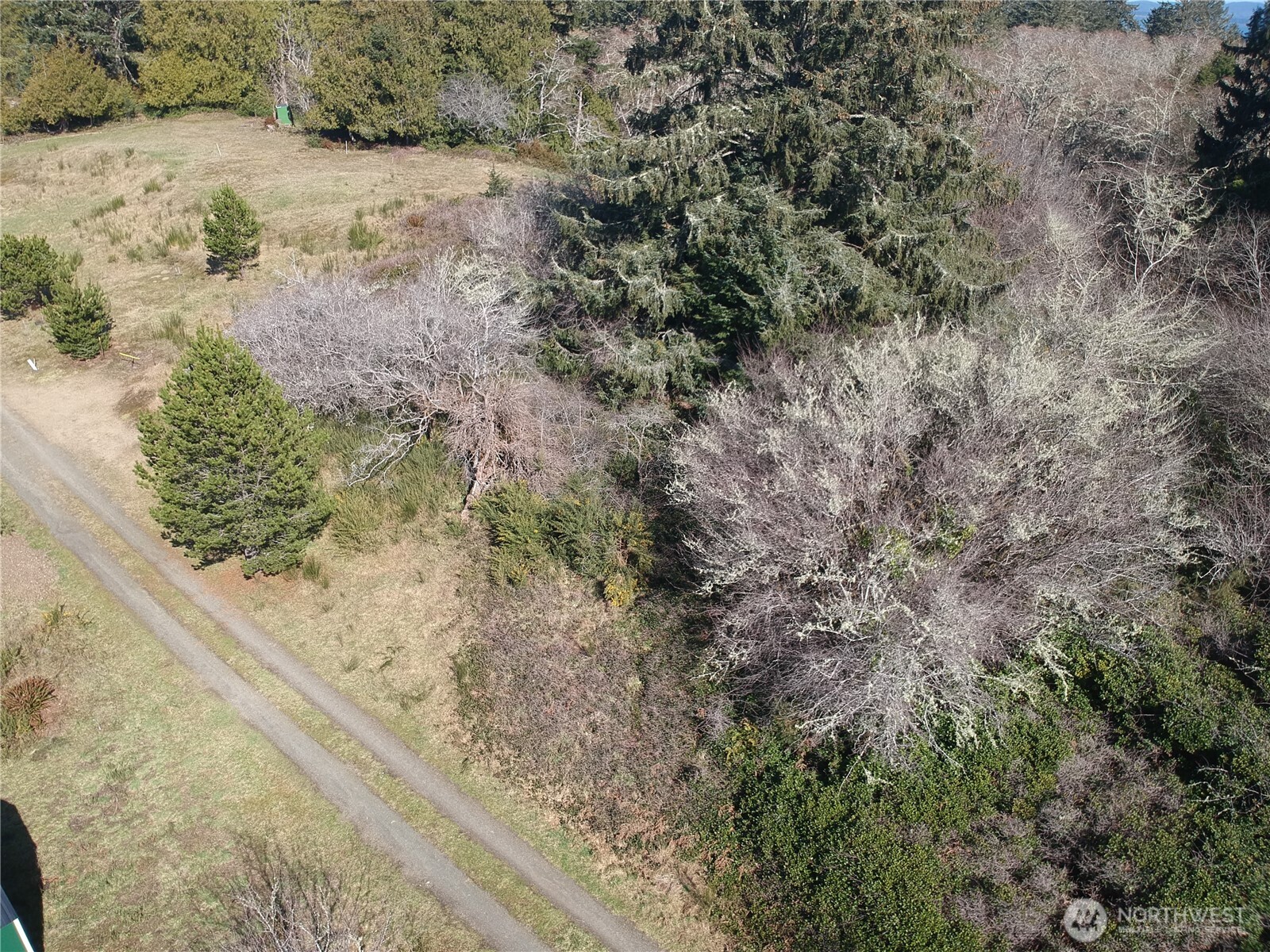 0 N. Oysterville Rd Cmtry Rd Property Photo 18