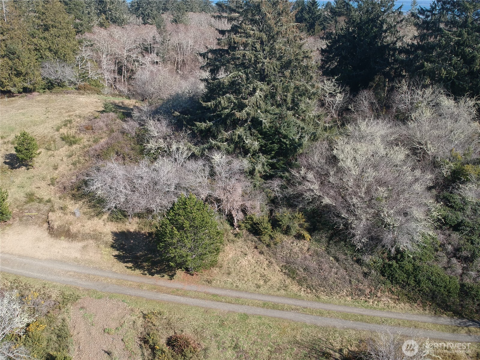 0 N. Oysterville Rd Cmtry Rd Property Photo 19