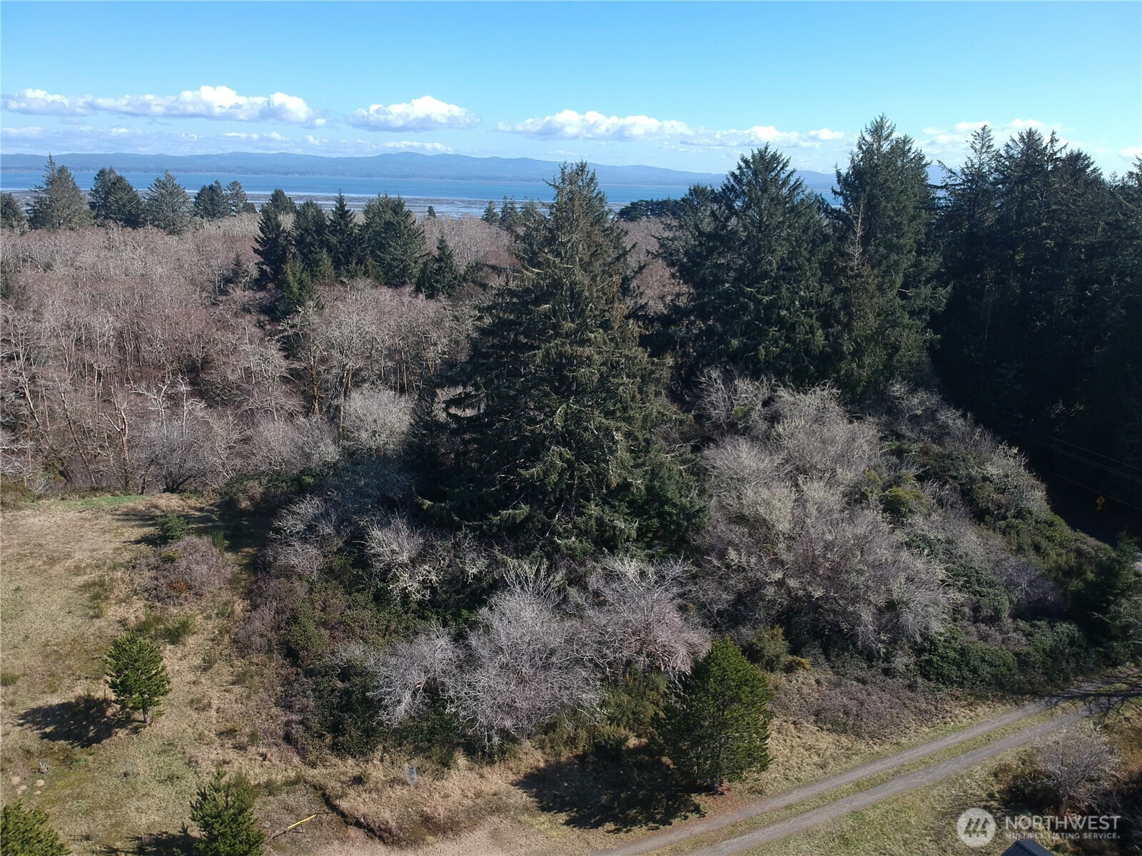 0 N. Oysterville Rd Cmtry Rd Property Photo 20