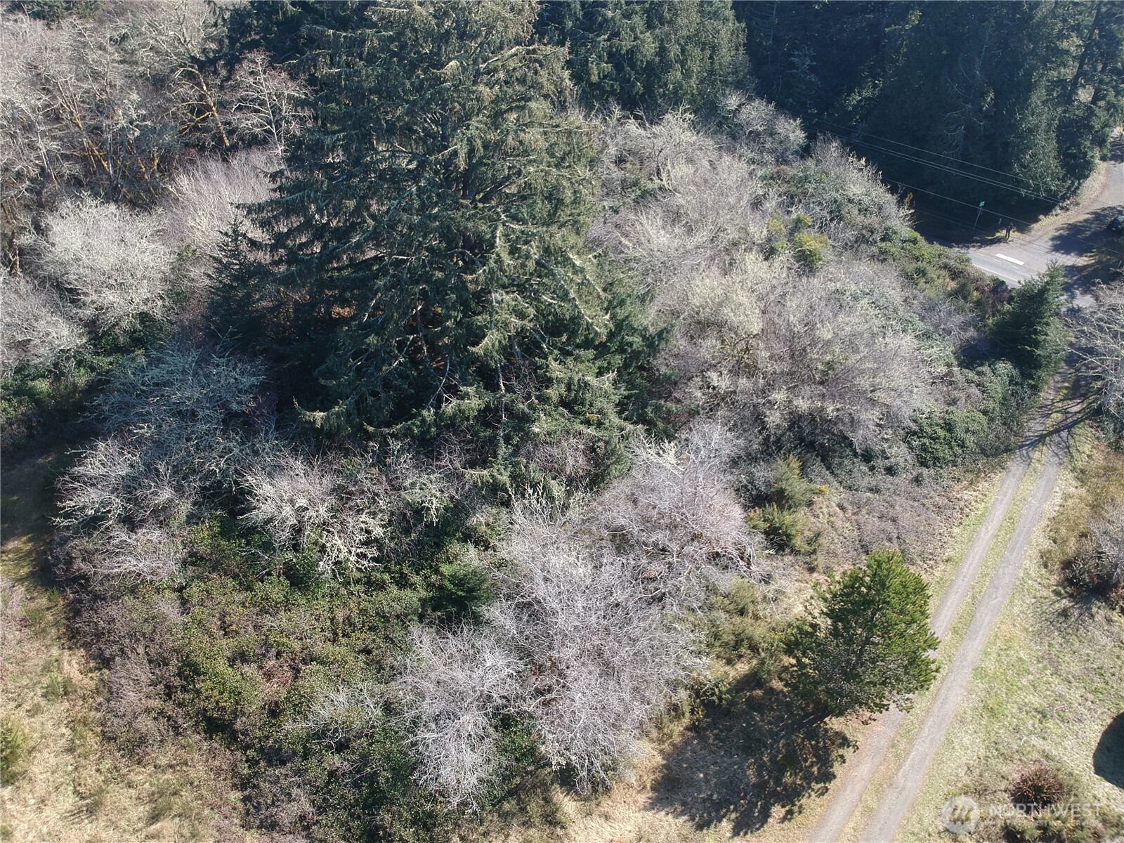 0 N. Oysterville Rd Cmtry Rd Property Photo 21