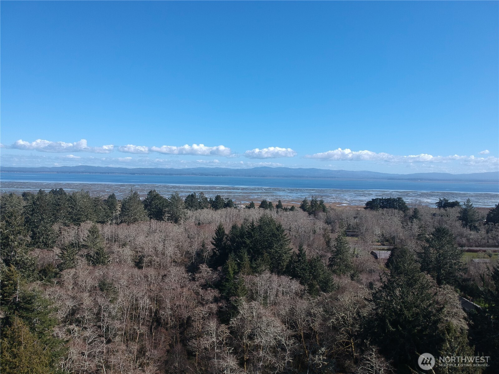 0 N. Oysterville Rd Cmtry Rd Property Photo 22