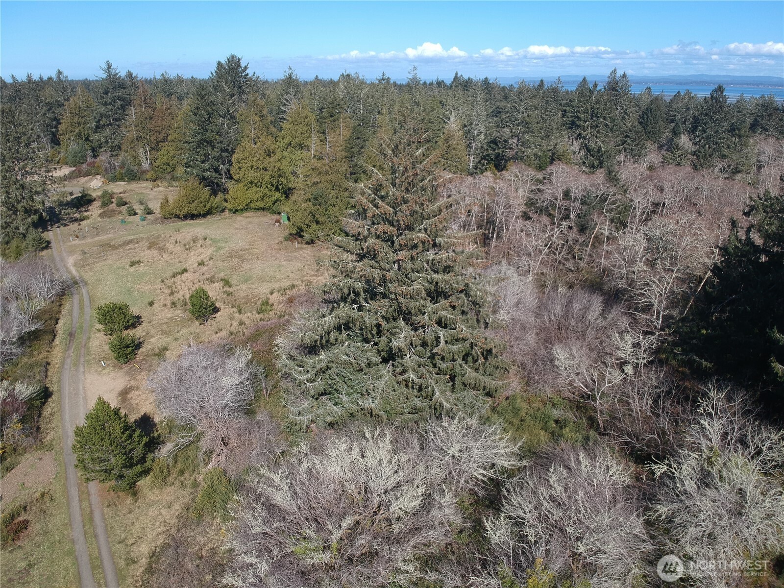 0 N. Oysterville Rd Cmtry Rd Property Photo 27