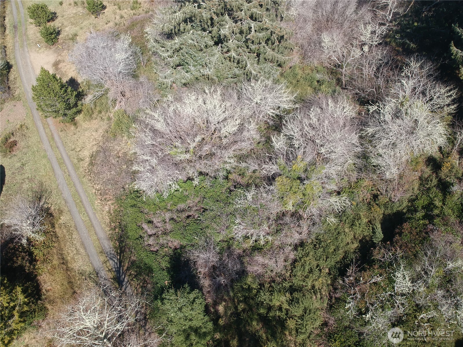 0 N. Oysterville Rd Cmtry Rd Property Photo 28