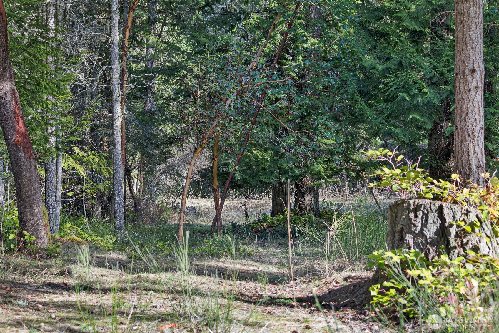 0 Lot 3 Quiet Place Property Photo 6