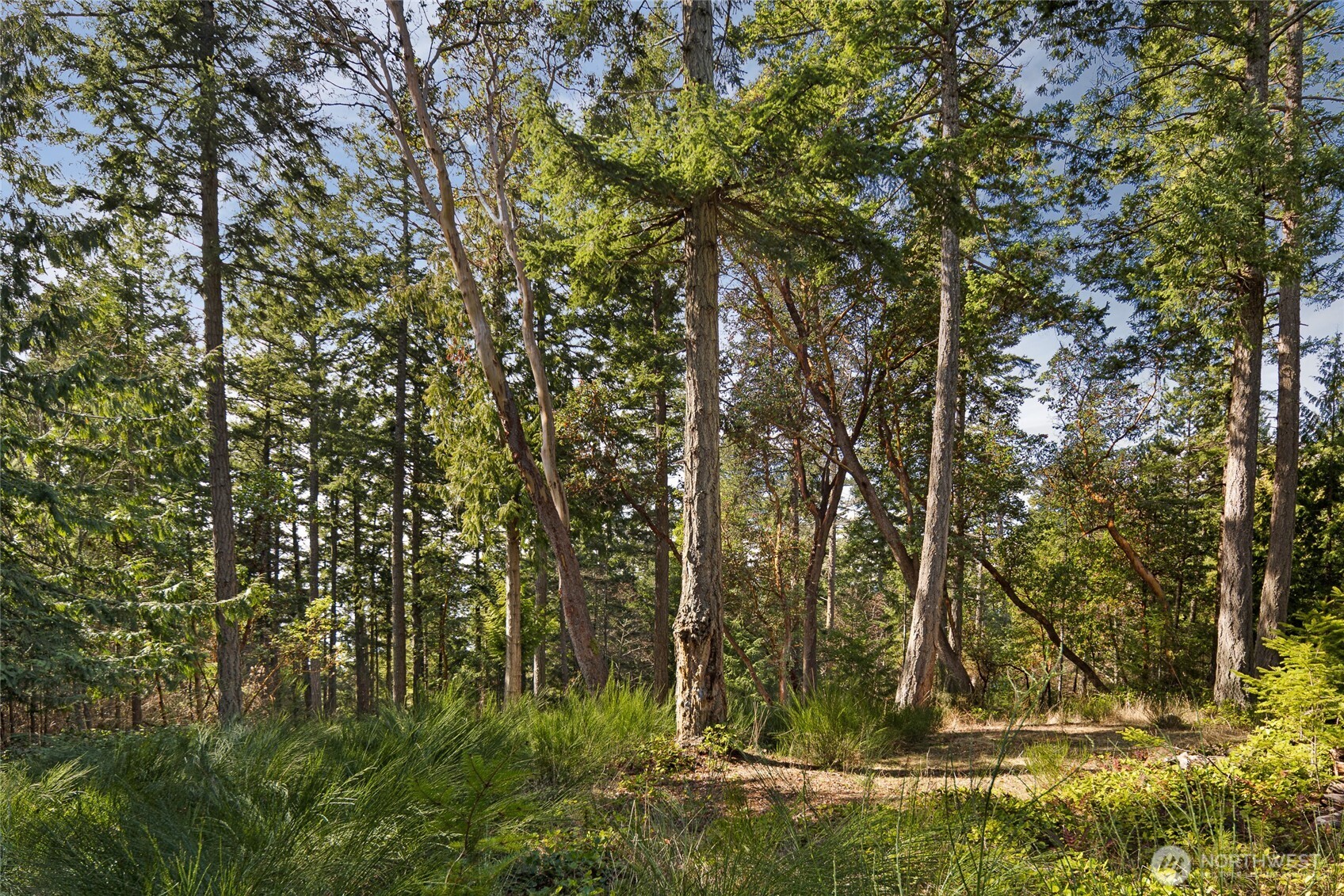 0 Lot 3 Quiet Place Property Photo 7