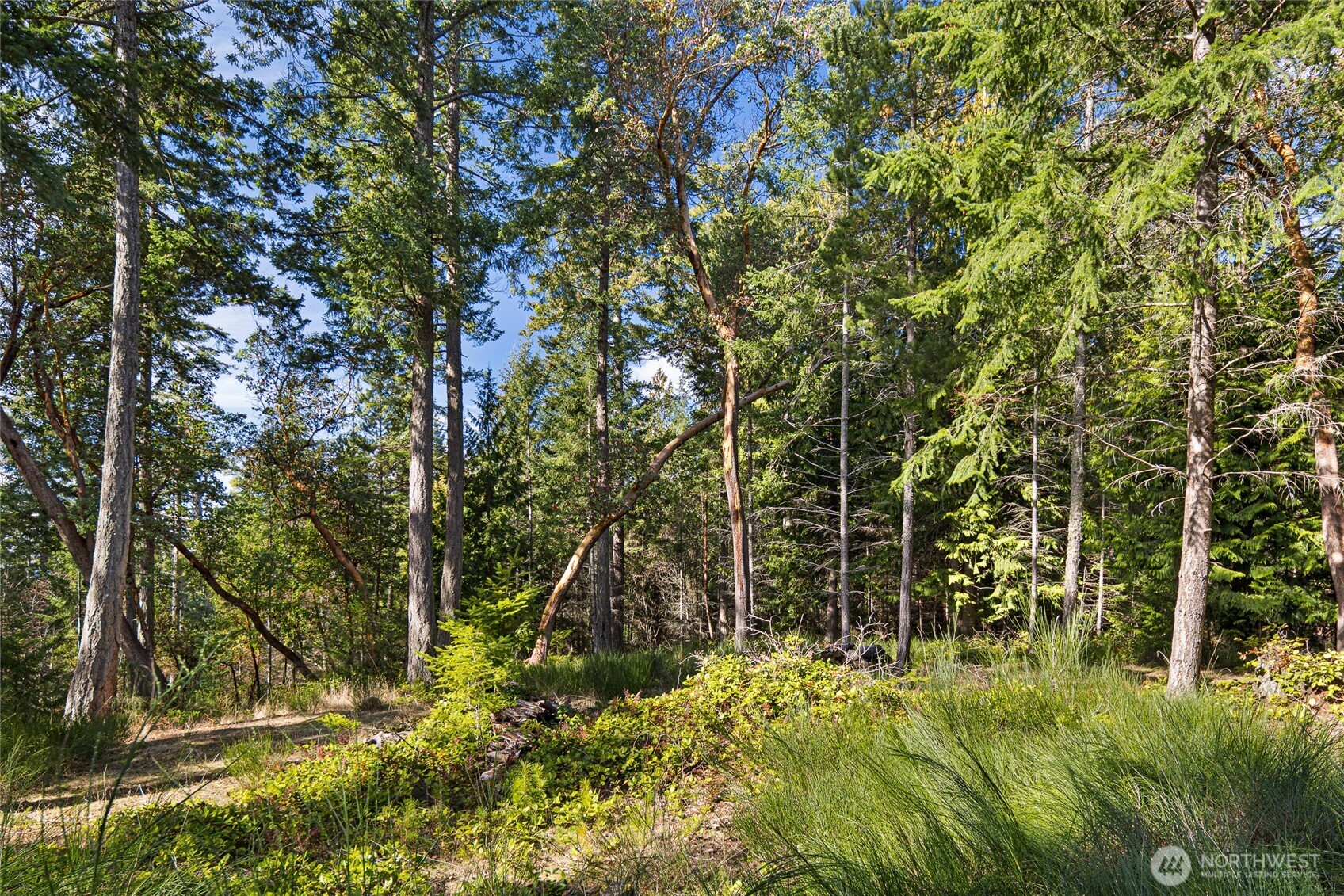 0 Lot 3 Quiet Place Property Photo 8
