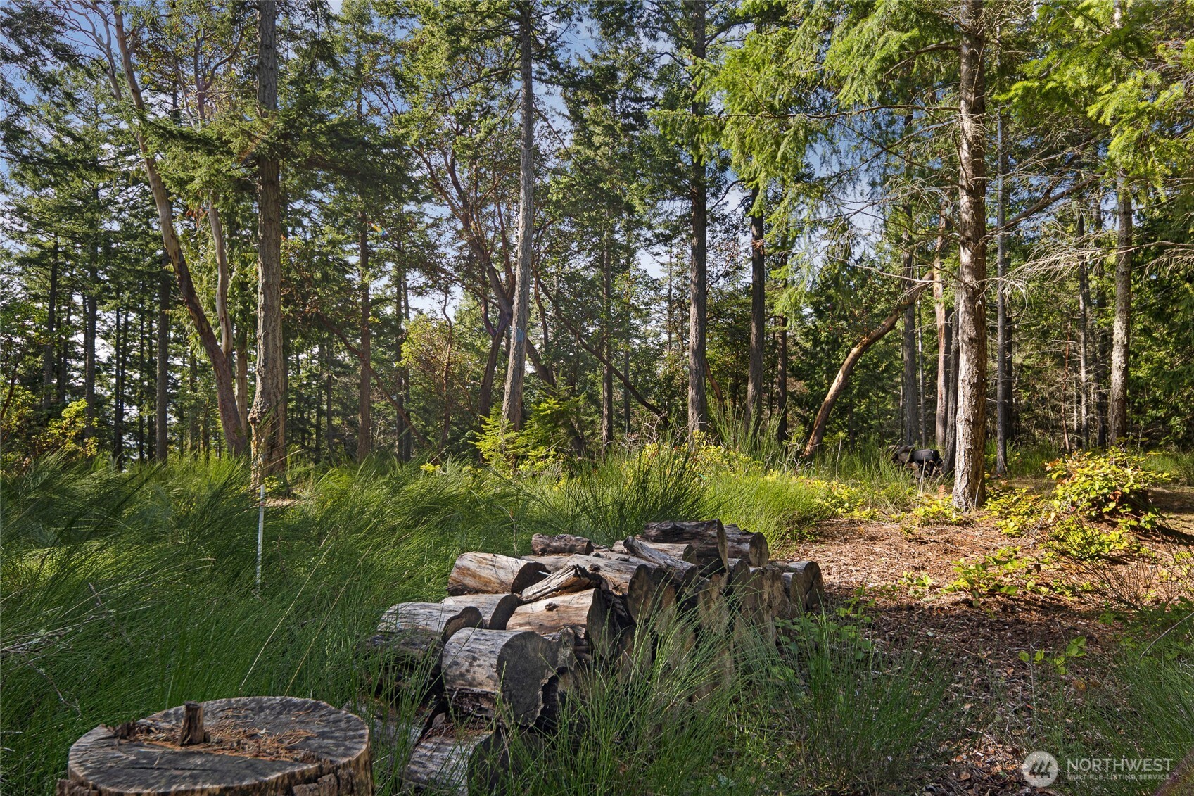 0 Lot 3 Quiet Place Property Photo 9