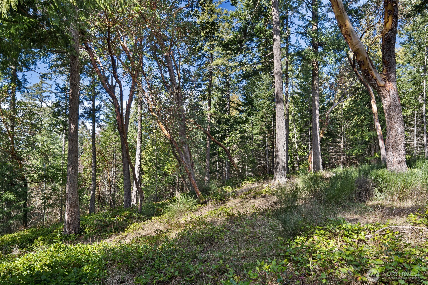 0 Lot 3 Quiet Place Property Photo 12