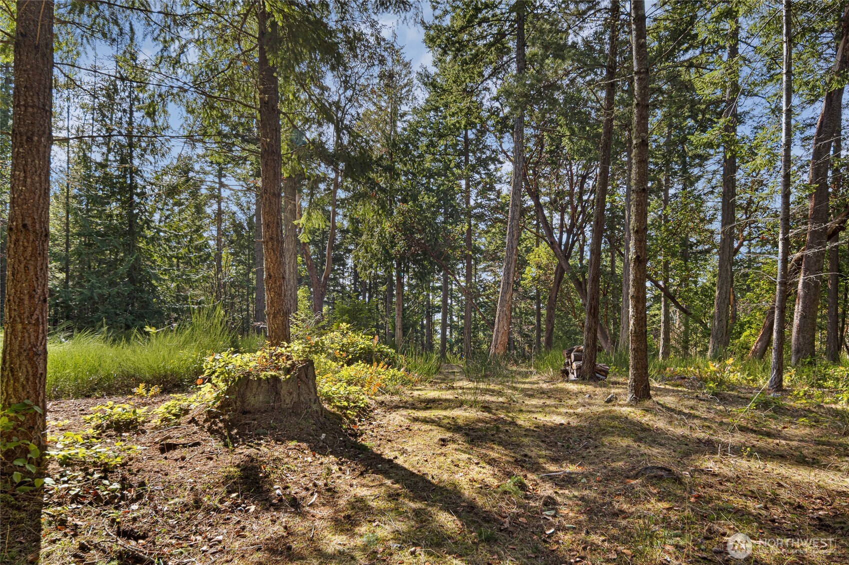 0 Lot 3 Quiet Place Property Photo 13