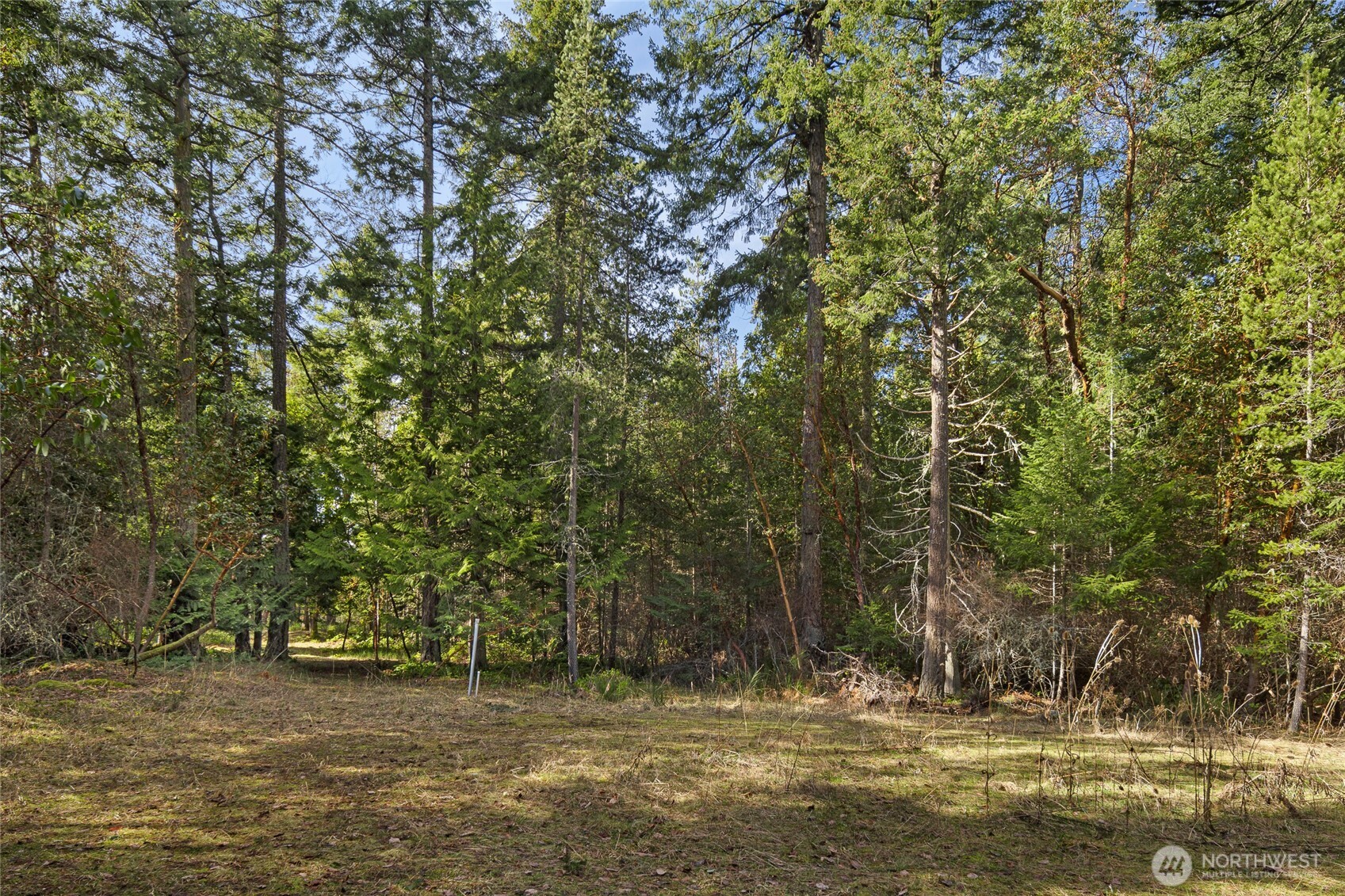 0 Lot 3 Quiet Place Property Photo 14