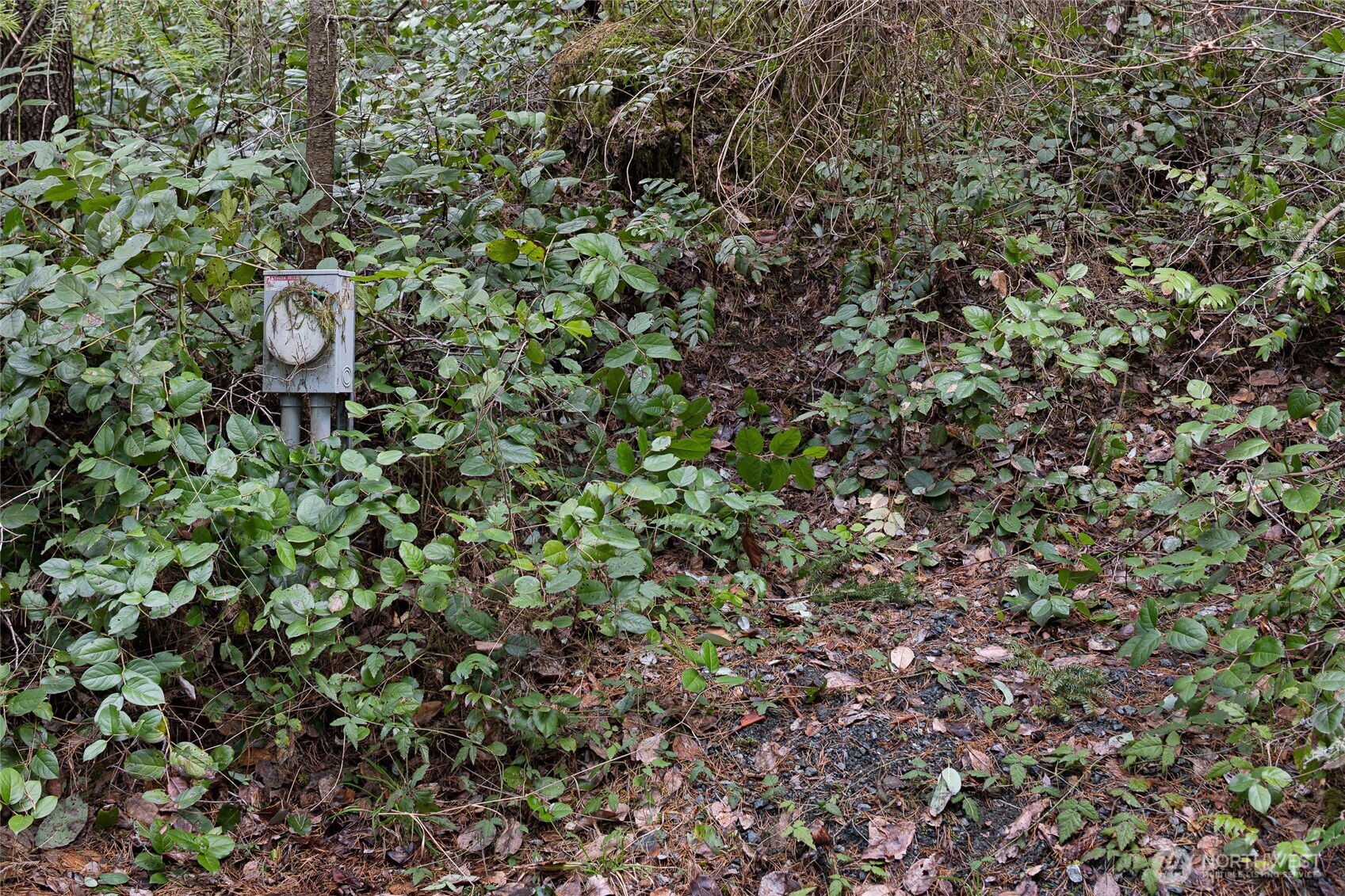 0 Lot 3 Quiet Place Property Photo 17