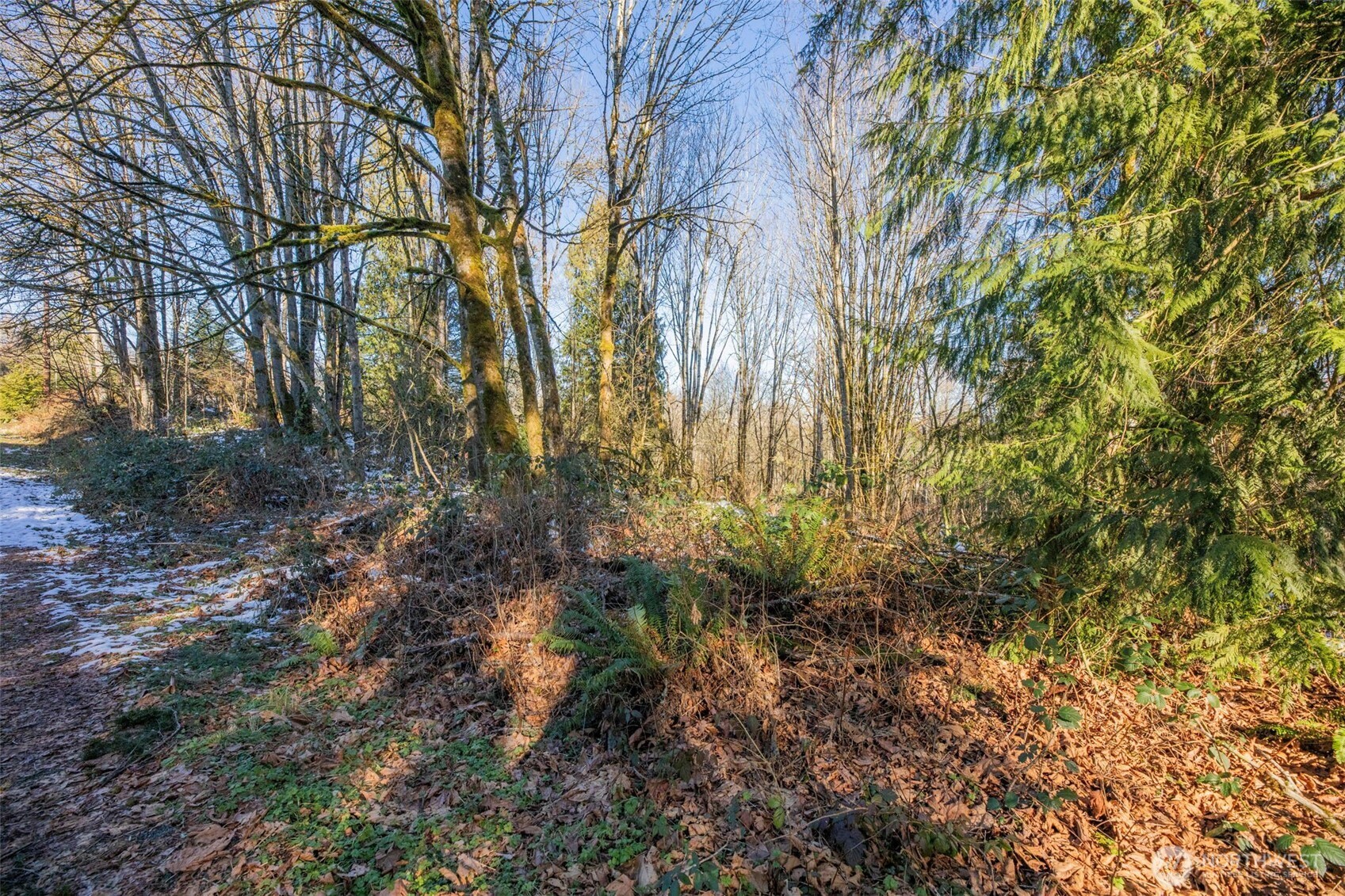 218 Xx E Lost Lake Road Property Photo 6