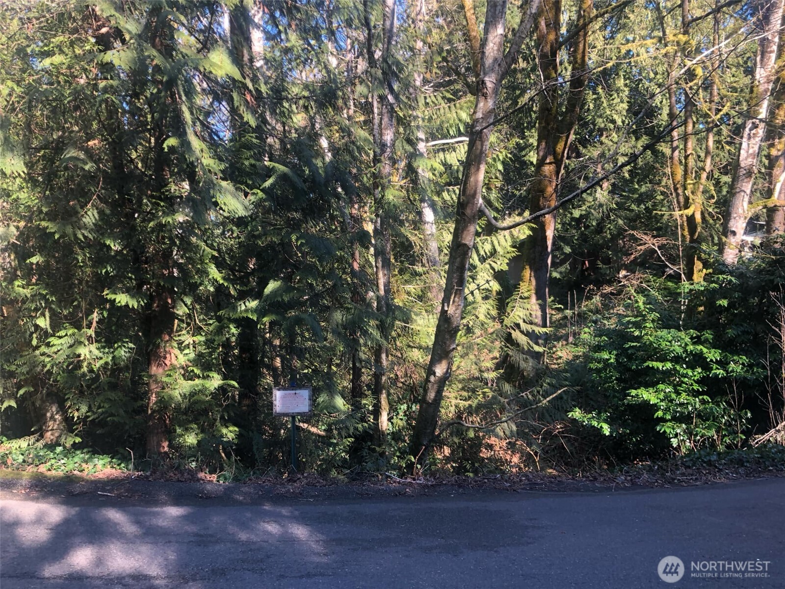 2800 Westwood Drive