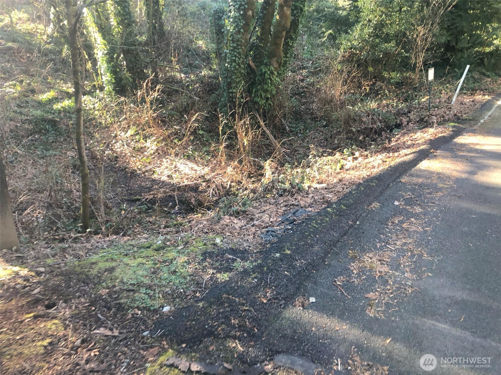 2800 Westwood Drive Property Photo 2